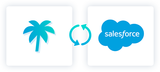 paradiseSalesforce